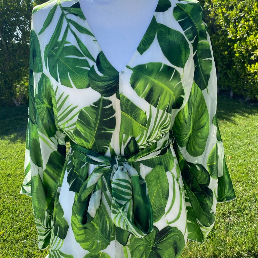 Stunning and SOLD OUT Alice & Olivia Dress- new with tags Retail $495 - size 2